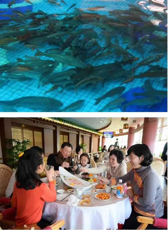 Food culture and famous restaurants of Democratic People’s Republic of Korea