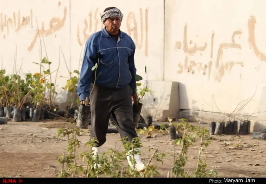 گزارش تصویری از اهدا ۳۰ هزار اصله نهال در اهواز