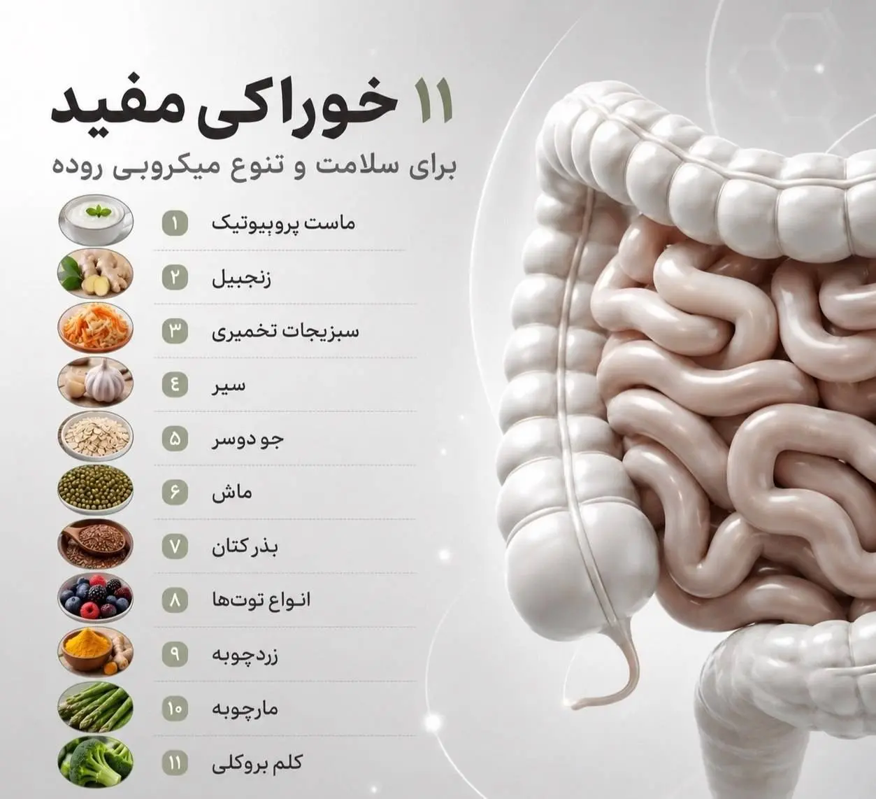 ۱۱ خوراکی مفید برای سلامت میکروبی روده