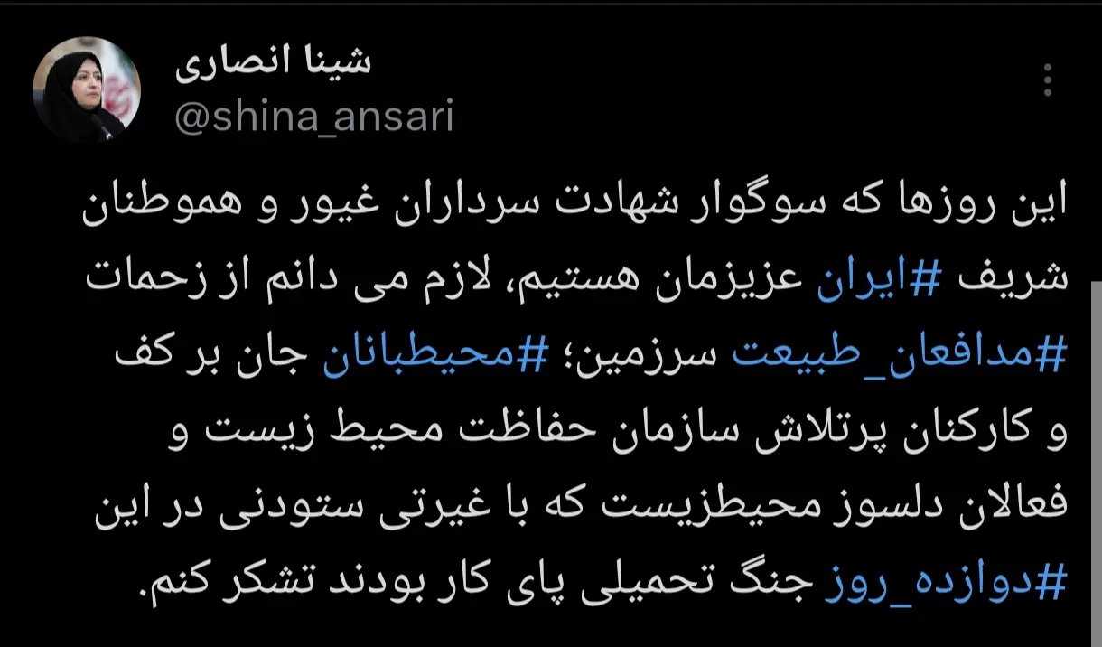 انصاری: تلاش مدافعان طبیعت در ۱۲ روز جنگ ستودنی بود
