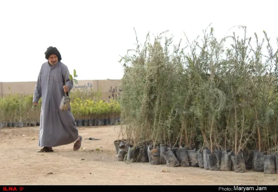 گزارش تصویری از اهدا ۳۰ هزار اصله نهال در اهواز