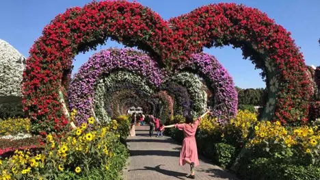 سیر و سفر در دل باغ گل دبی (Miracle Garden) چگونه است؟