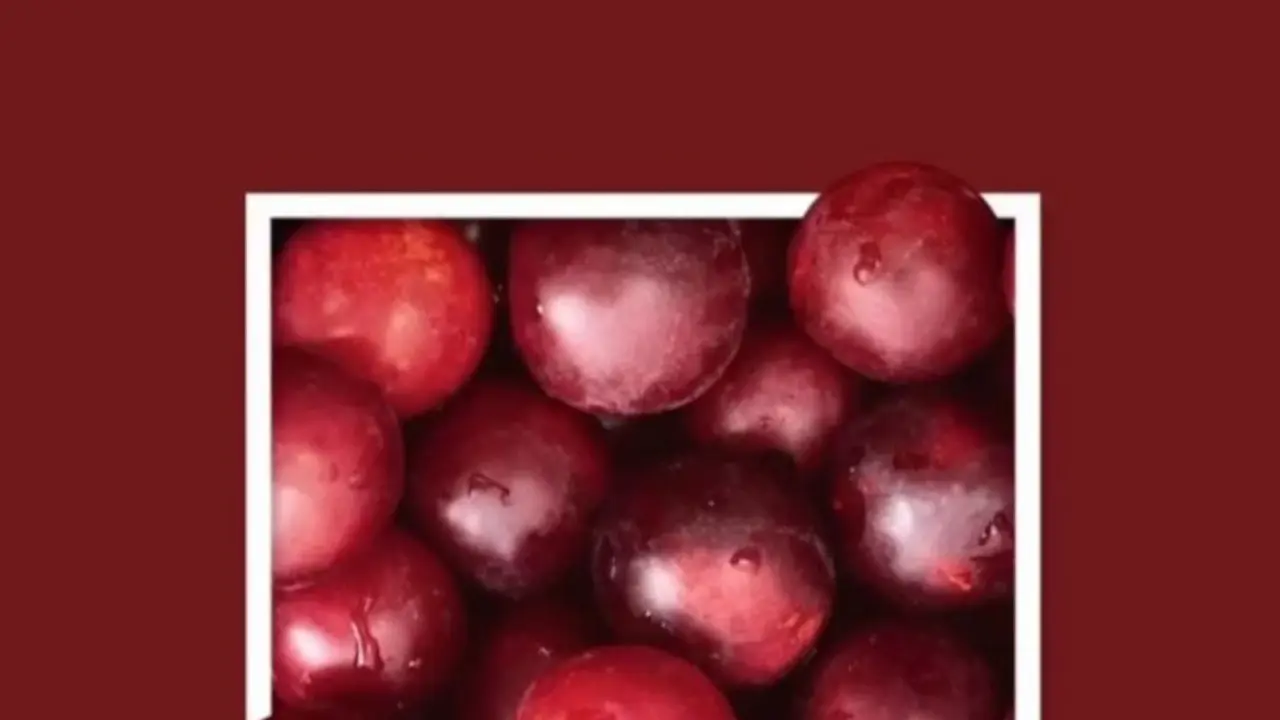 ۹ رنگی که در دنیا به نام ایران میشناسند