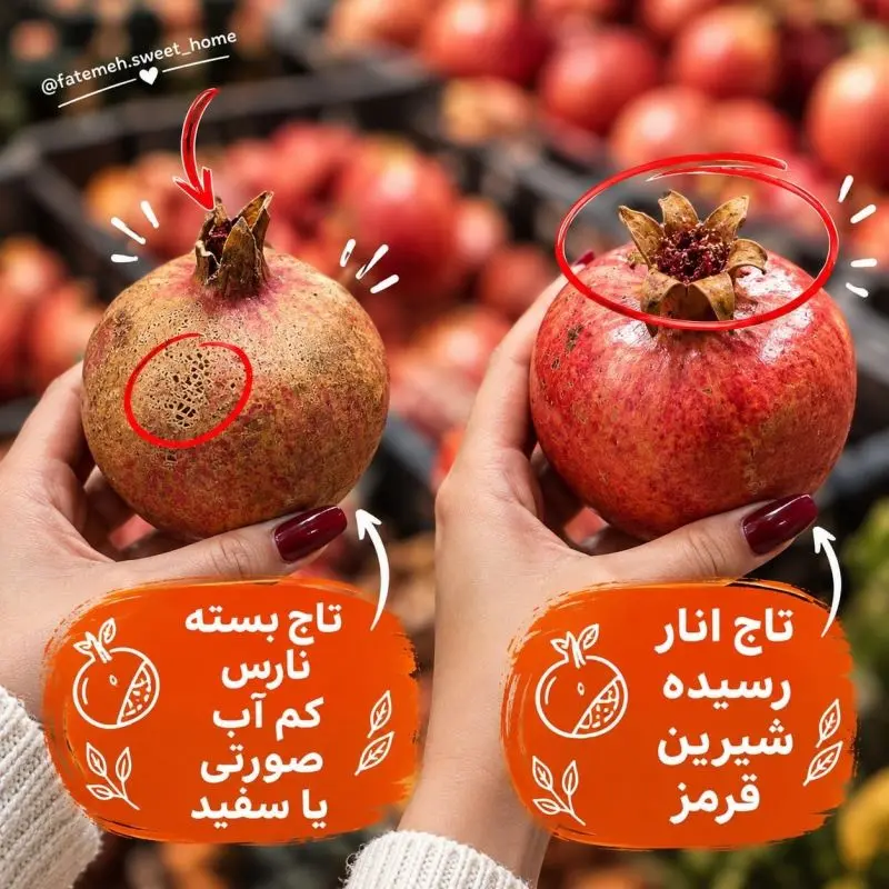 راهنمای انتخاب بهترین میوه و صیفی جات