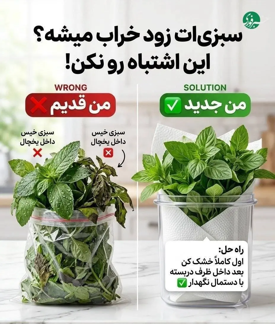 با این اشتباه‌های کوچیک مواد غذایی‌ زودتر خراب می شوند