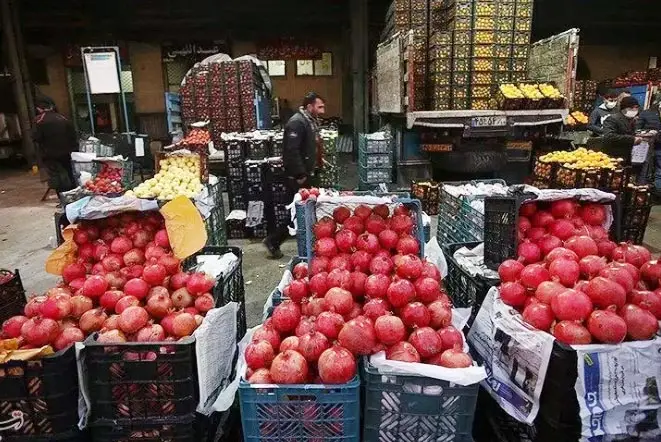 از کمبود حامل‌های انرژی تا نابسامانی‌های ارزی کشاورزان/ صادر‌کنندگان محصولات کشاورزی فارس خانه‌نشین شدند