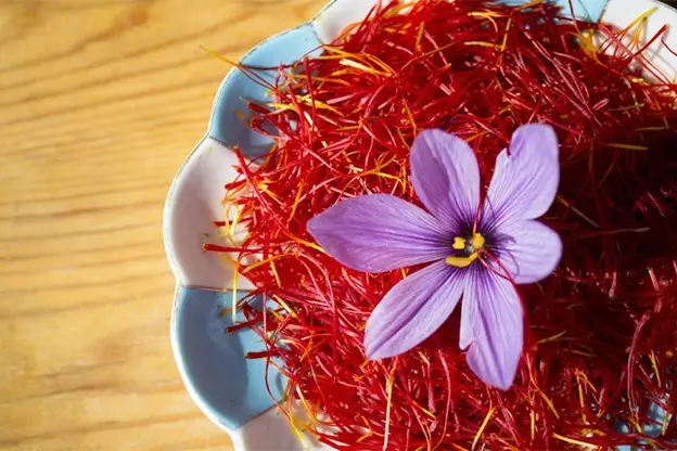 Premium Iranian Saffron: International Standards and Quality Assuranc