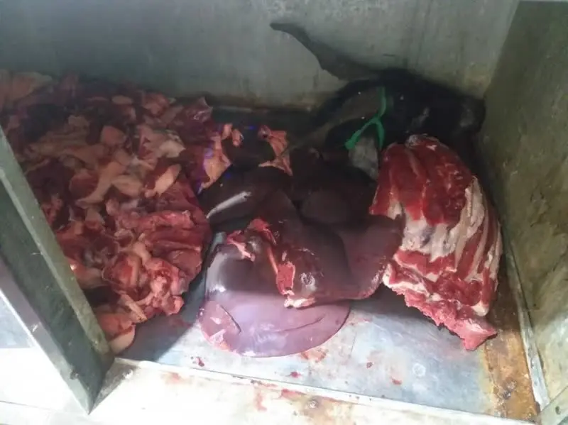 اعلام سرنوشت پرونده کُشتار و فروش گوشت تک سُمی در بازار