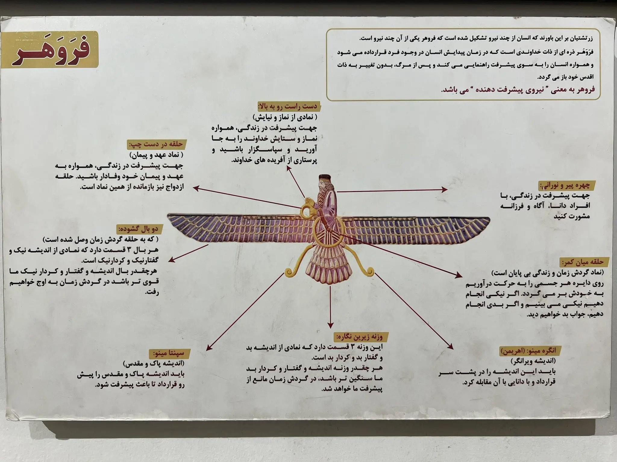 فَروَهَر نماد چیست؟ + عکس