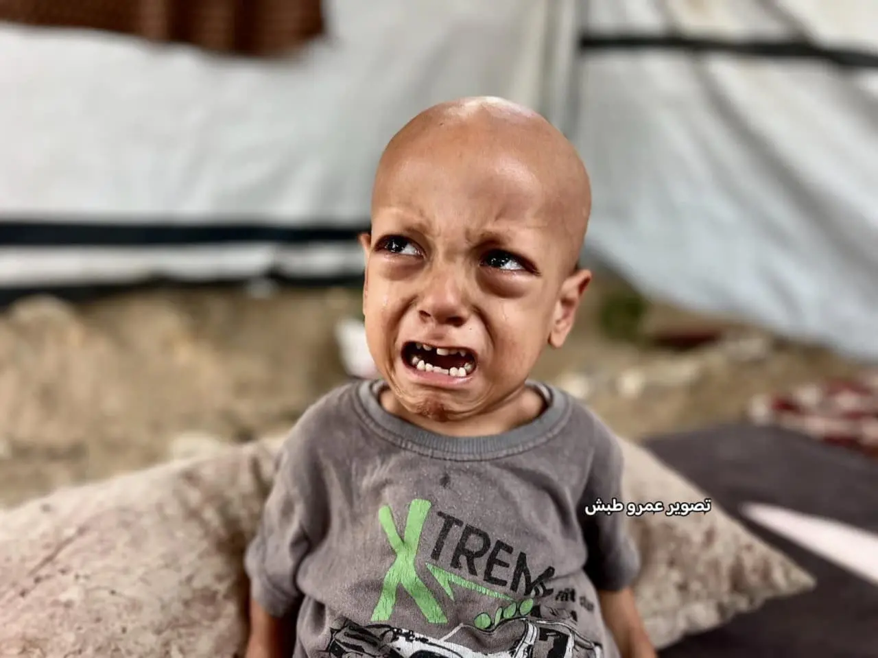 آمریکا دانشجوها را اخراج می‌کند... اسرائیل ساکنان غزه را...