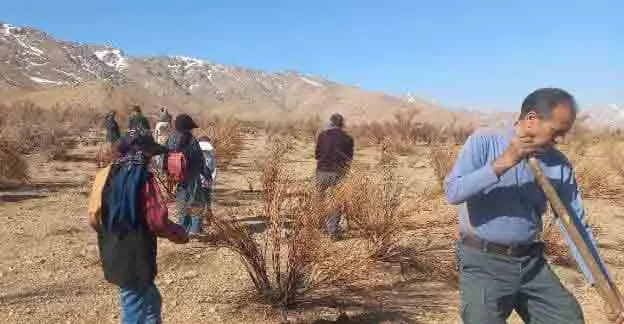 شتابگیری برنامههای مدیریت سیلاب و حفاظت از منابع طبیعی در فارس