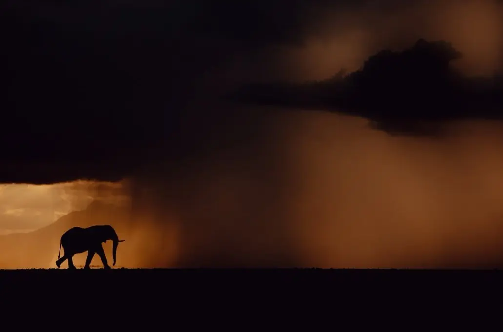  عکس‌های مردم‌شناسانه از سراسر جهان+آثار