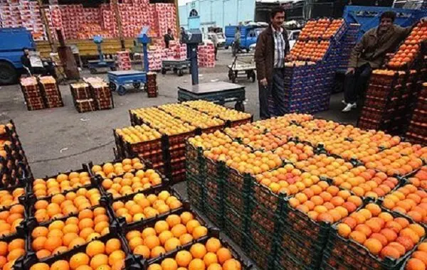 استقبال از خرید میوه‌های درجه پایین در شیراز/ درآمد دلالان از قیمت گذاری در بازار میوه شیراز