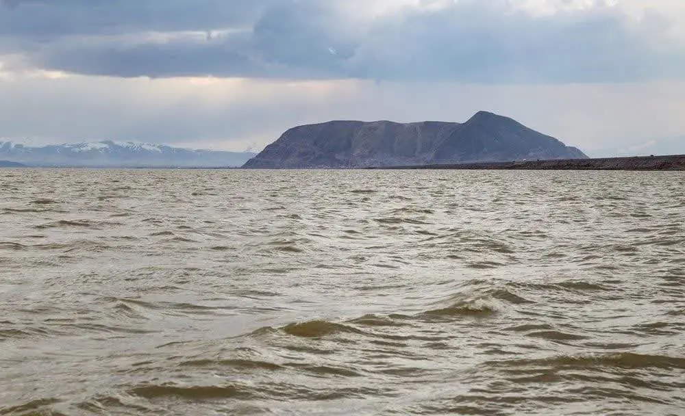 کشف ماهی و سگ آبی در دریاچه ارومیه