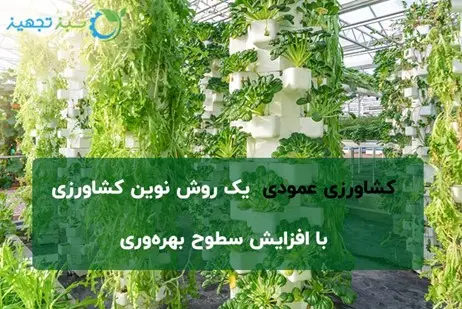 کشت عمودی چیست و چه مزایایی دارد؟ راهنمای صفر تا صد راه اندازی کشاورزی کشت عمودی