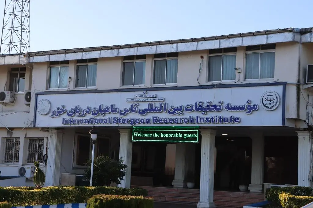 توسعه صنعت شیلات، لازمه رونق‌بخشی به اقتصاد دریا‌محور 