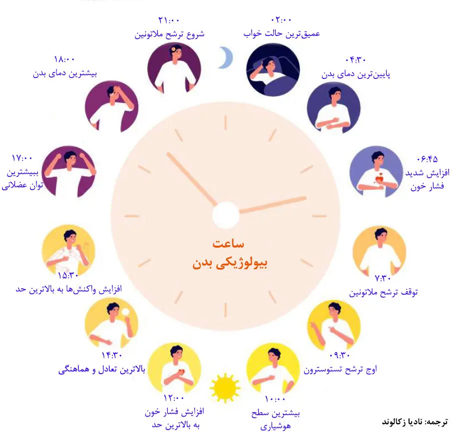 تنبلی یا ژنتیک؟ علت واقعی دیر بیدار شدن برخی افراد چیست؟
