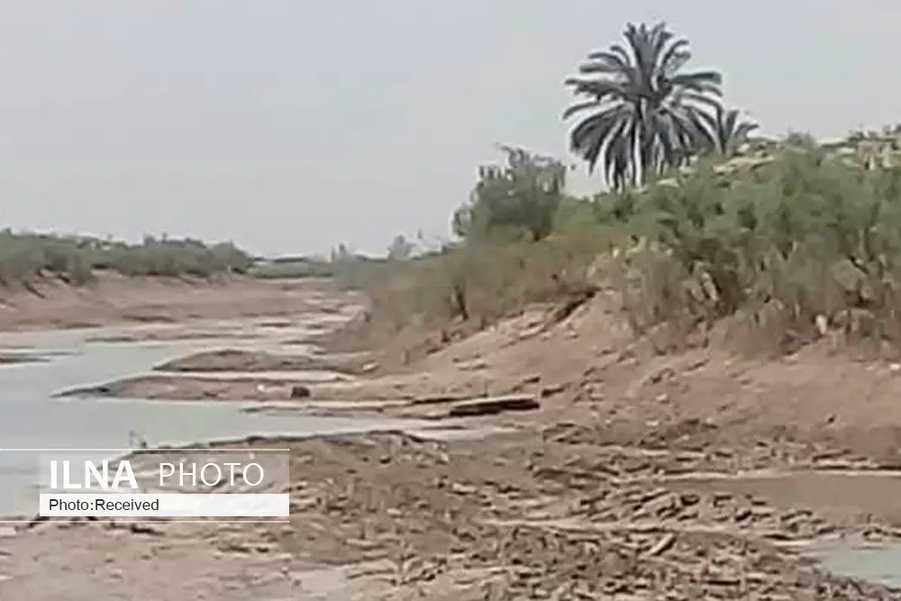 در سال پرآبی نخیلات و کشت تابستانه کشاورزان هویزه به باد رفت/ کرخهکور و جراحی تماماً گلآلود است