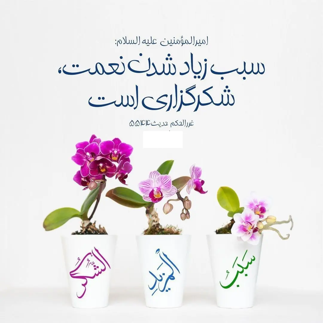 حدیث روز یکشنبه ۲۷ مهر + عکس