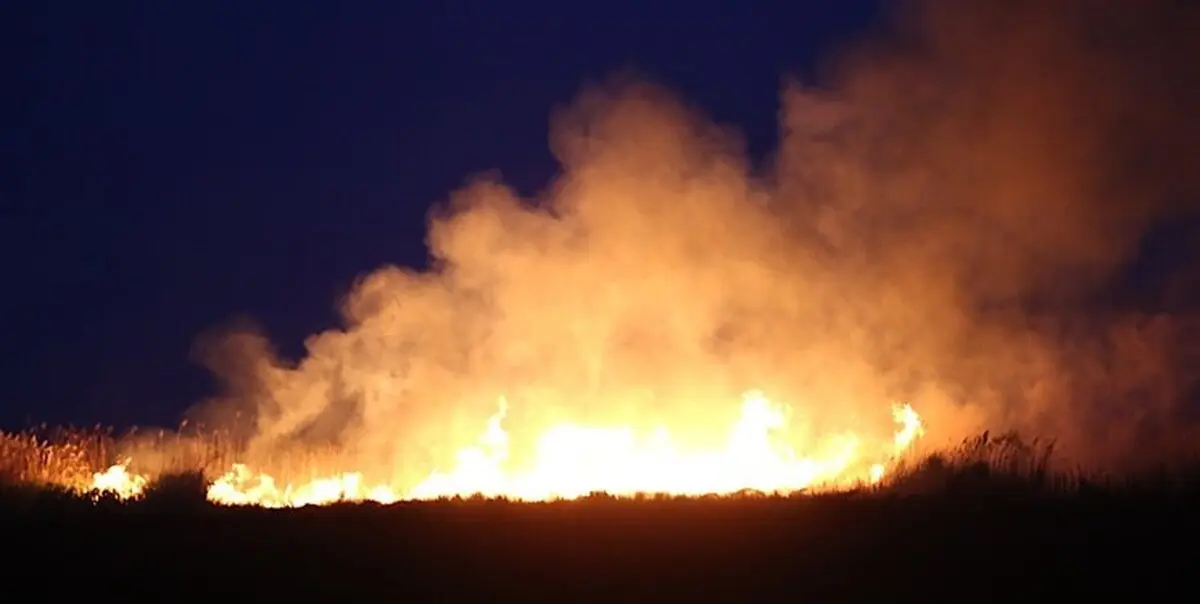 ساعقه سبب آتش‌سوزی در تالاب میقان شده است / آتش‌سوزی در نیزارها یک پدیده عادی محسوب می‌شود 
