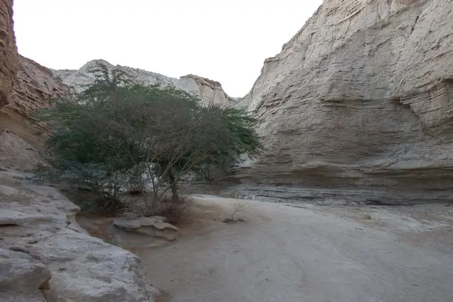 آریزونا در ایران/تصاویر