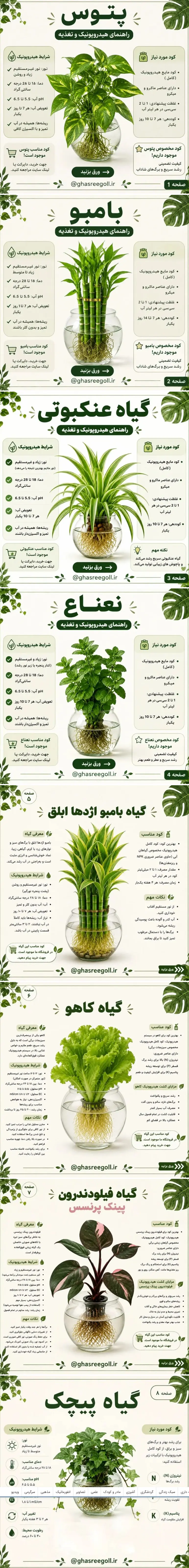 ۸ گیاهی که می توانید در آب پرورش دهید + اینفوگرافی