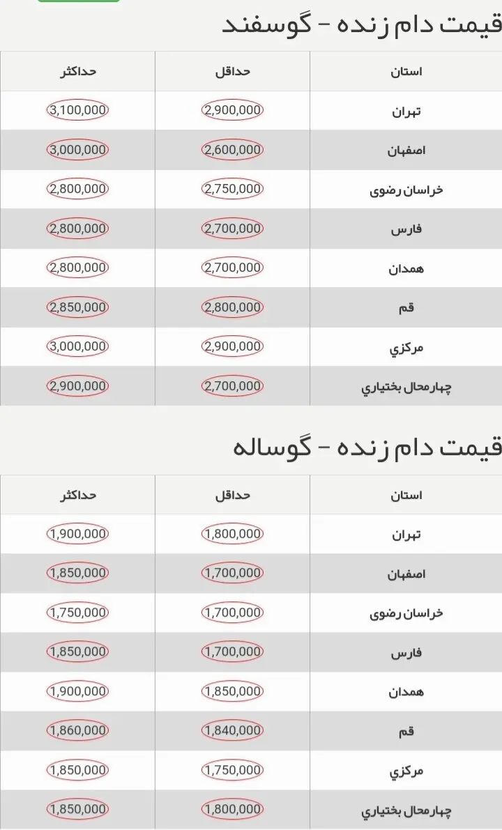 قیمت گوسفند و گوساله در بازار امروز جمعه ۲ آذر ۱۴۰۳ + جدول 