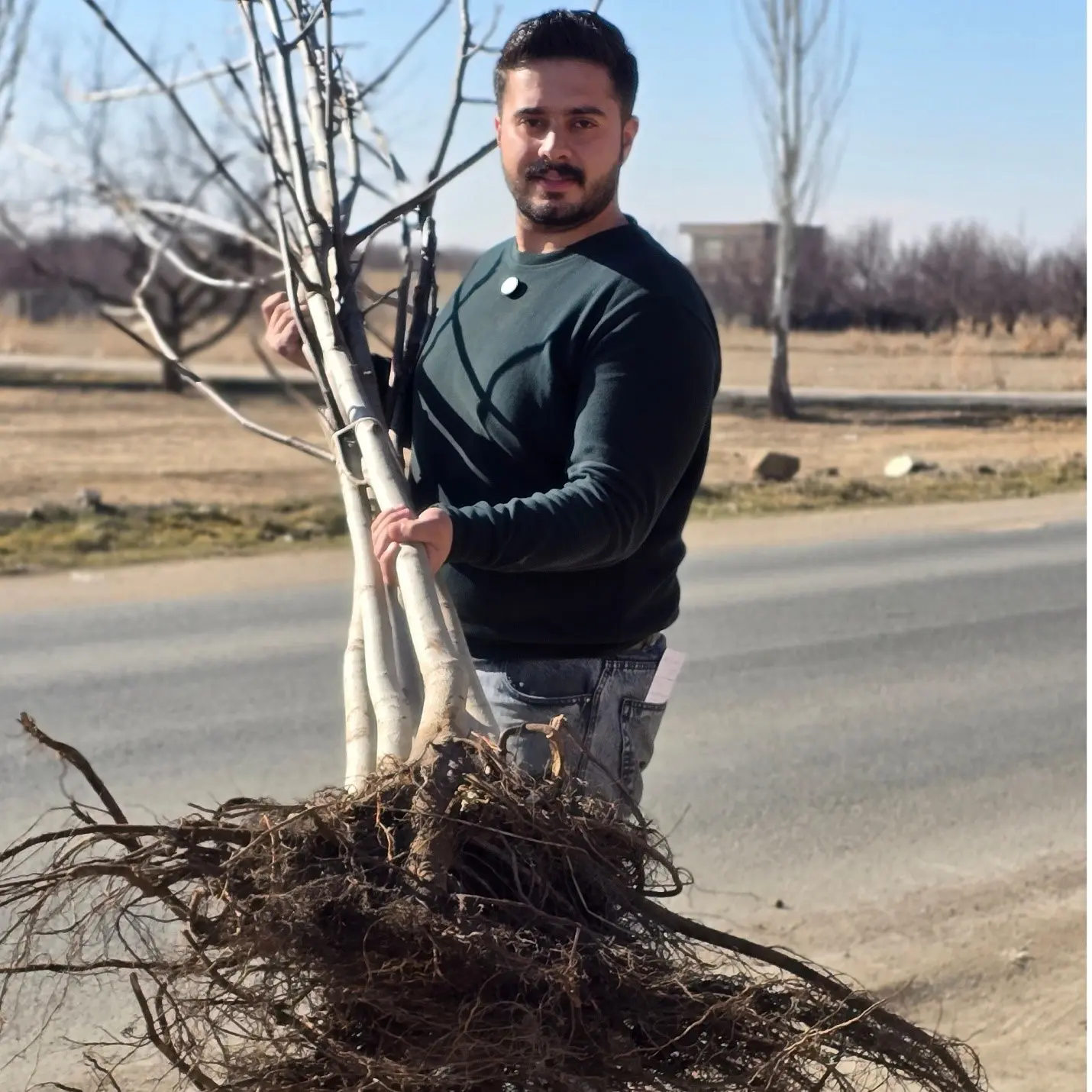 نهالستان نارون کشت؛ بزرگترین تولیدکننده نهال‌های گردو، بادام و صنوبر در ایران
