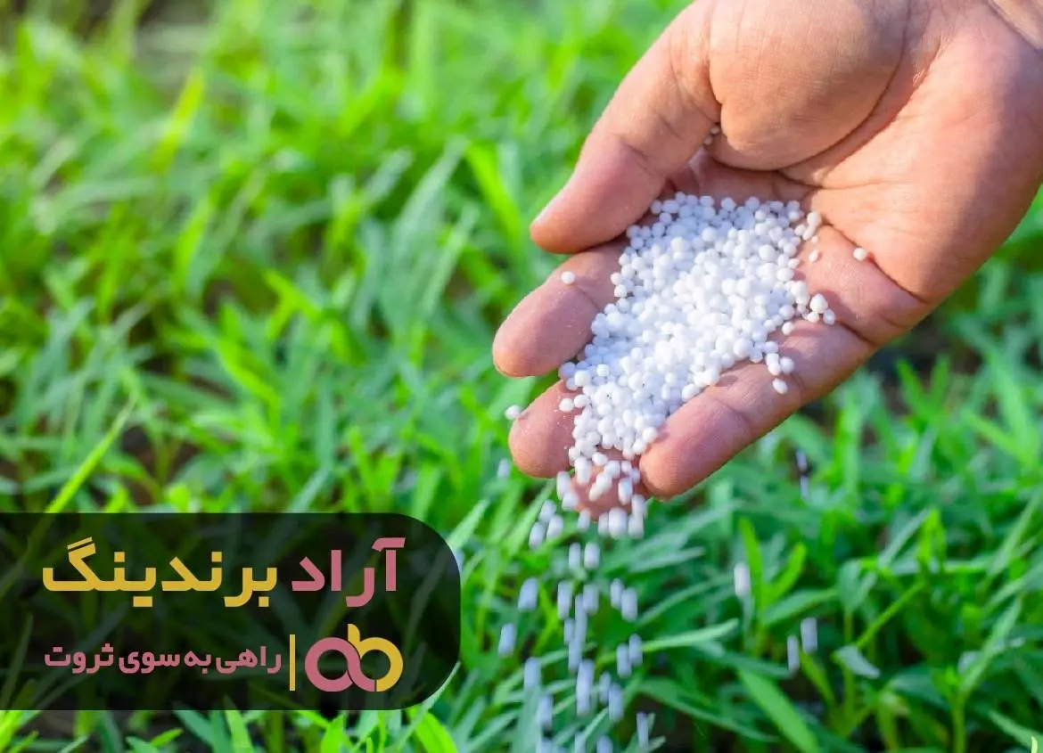 
اینگونه ثروتمند شدم و به آرامش رسیدم