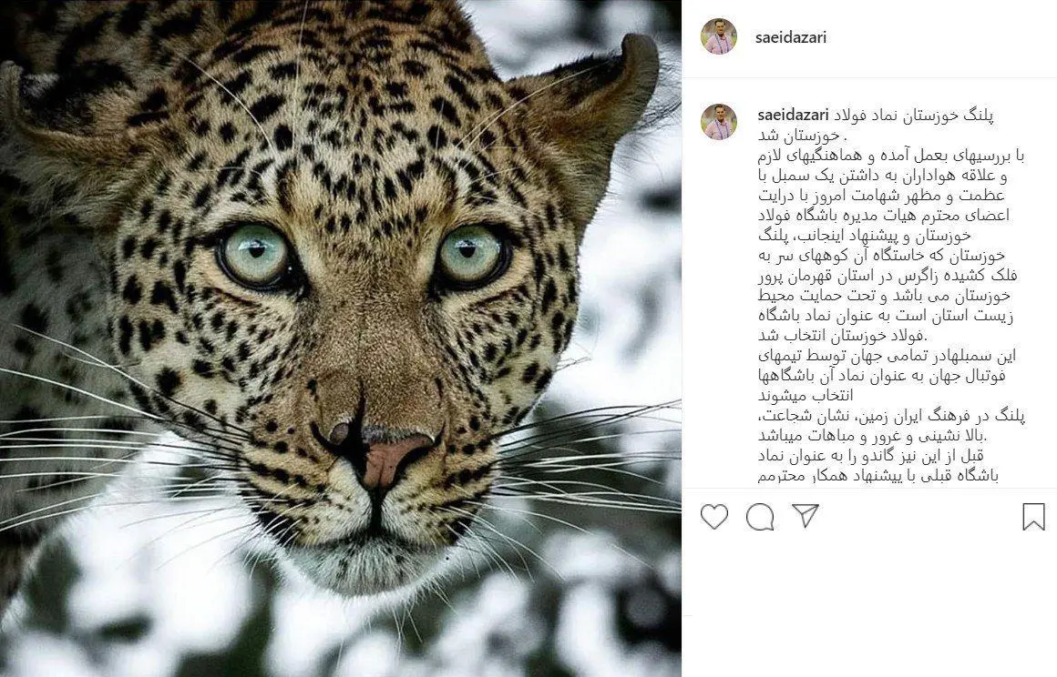 پلنگ خوزستان نماد فولاد شد (عکس)