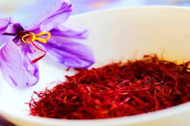 خرید آنلاین زعفران اصل سحرخیز و مصطفوی از هفت مغز