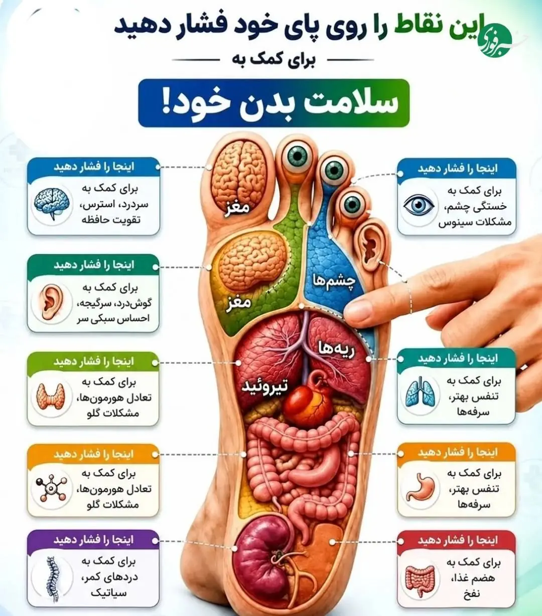 برای سلامت بدن خود این نقاط را روی پا خود فشار دهید + عکس