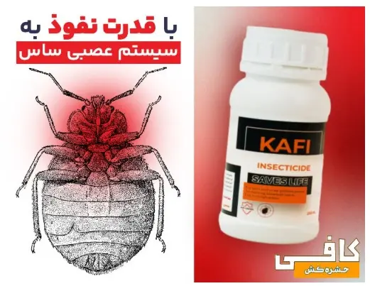 اینها علائم ساس در منزل هستند (0 تا 100 پیدا کردن و از بین بردن حشره ساس)