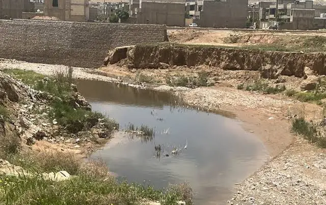 ساکنان سلطان‌آباد شیراز گرفتار بوی تعفن/۳۰ هزار نفر هر روز بوی نامطبوع استنشاق می‌کنند/ شناسایی ۱۹ نقطه آلاینده و  ۶ منبع آلودگی در مسیر رودخانه چنار راهدار