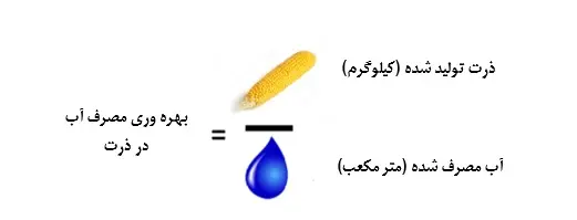 اهمیت ذرت