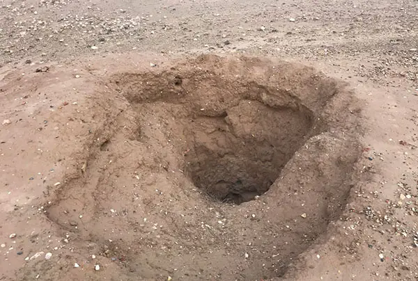 تاراج گران اموال تاریخی به شهر باستانی «دارابگِرد» شبیخون زدند/ ضرورت راه اندازی پایگاه میراث فرهنگی در منطقه
