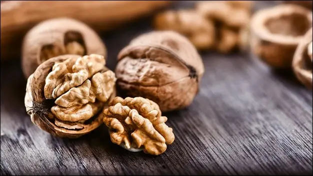 عوامل موثر در قیمت گردو خشک چیست؟