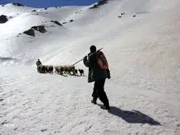 بحران خاموش در دامن زاگرس؛ روایتی از رنج های پنهان عشایر چهارمحال و بختیاری