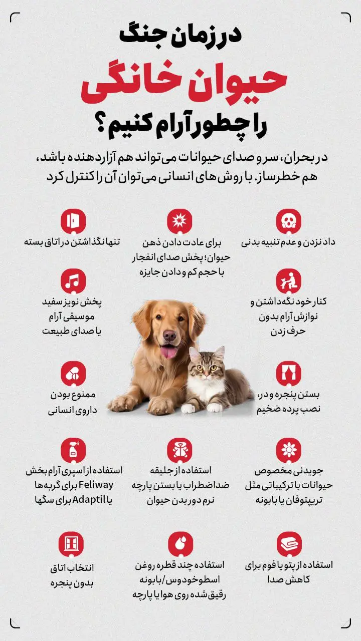 در زمان جنگ حیوانات خانگی را چطور آرام کنیم؟