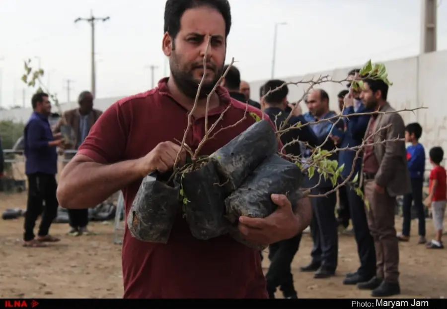 گزارش تصویری از اهدا ۳۰ هزار اصله نهال در اهواز