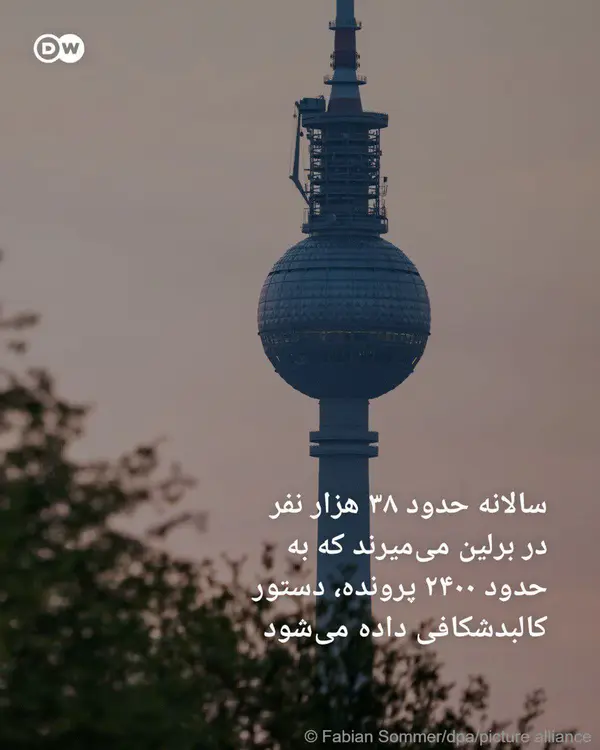 روایت سفید از فاجعه سیاه در قلب اروپا