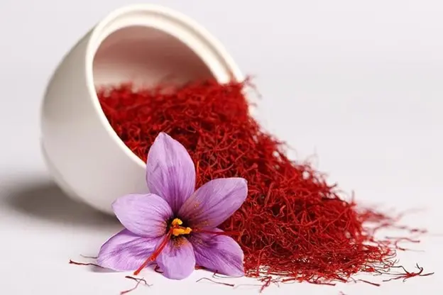 Tida Saffron: Premium Quality with Market-Appropriate Pricing