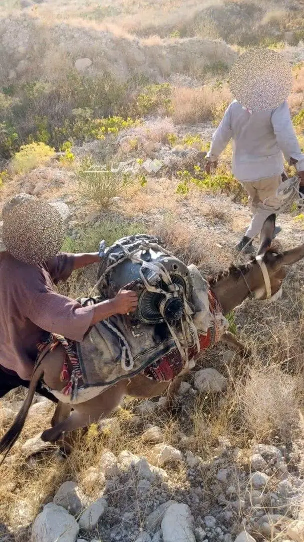 پهپاد آمریکایی سوار بر الاغ + عکس
