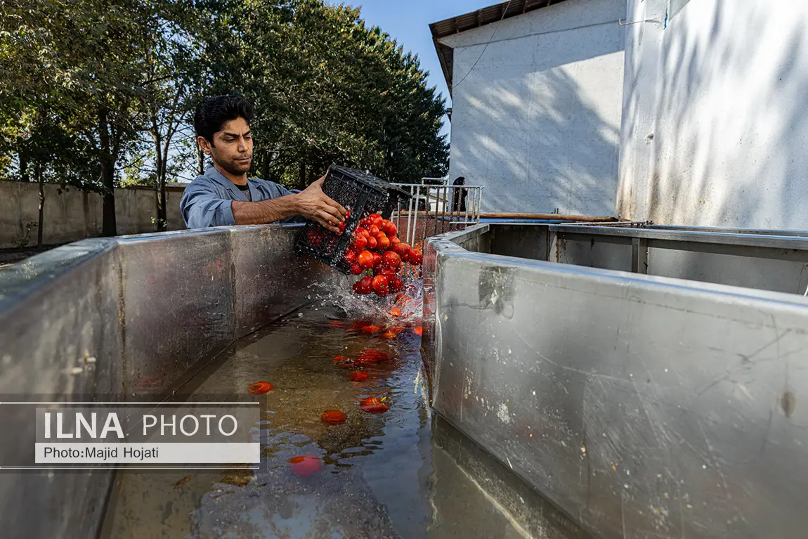 پروژههای فارس در برزخ تصمیم/ از صنایع نیمهجان تا طرحهای بلاتکلیف