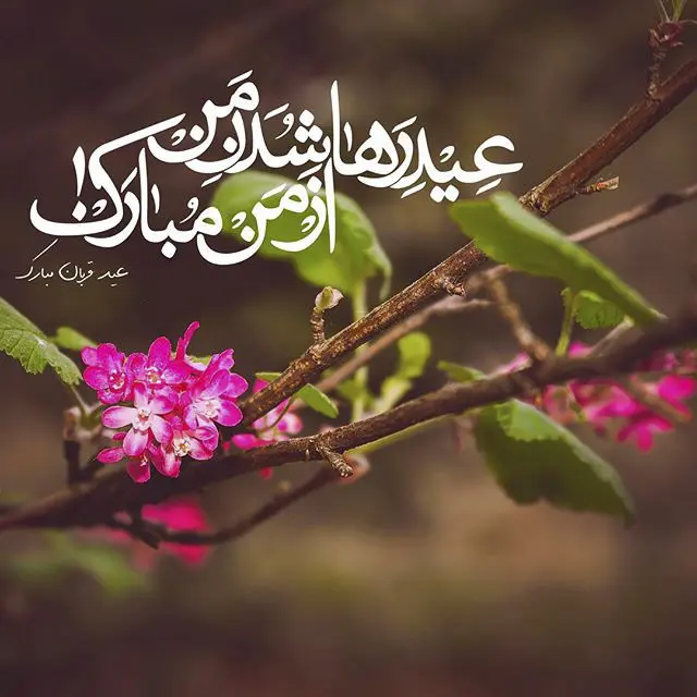 ۲۰ عکس نوشته تبریک عید سعید قربان