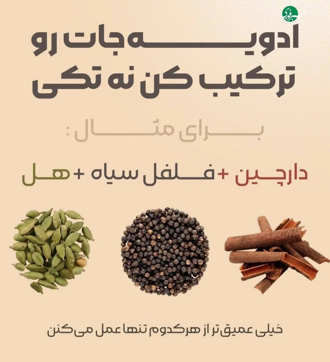 ترفندهای کمیابی که طعم غذا را معرکه می کند + اینفوگرافی