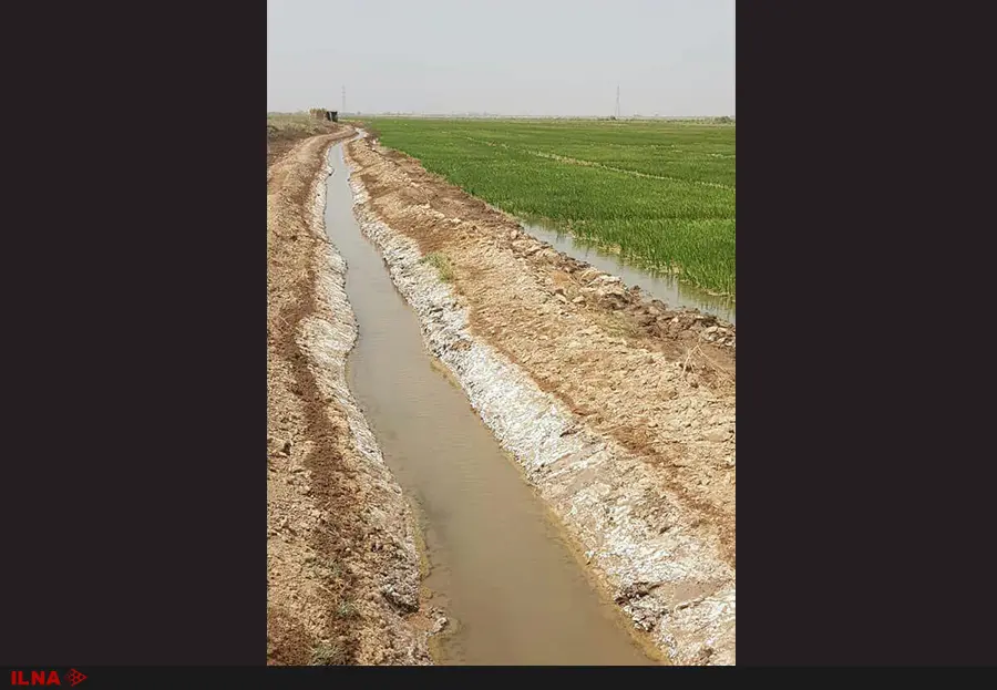 تبدیل زمینهای کشاورزی خوزستان به برهوت نمک تا 10 سال آینده/4میلیون هکتار زمین درمعرض نابودی/کارشناسان احداث سد گتوند را نقطه ننگین زیستمحیطی میدانند