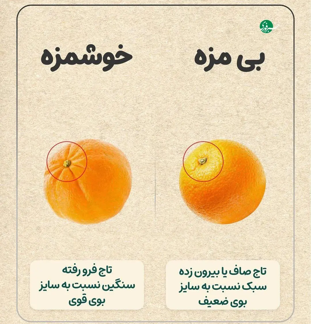 راهنمای خرید میوه + عکس