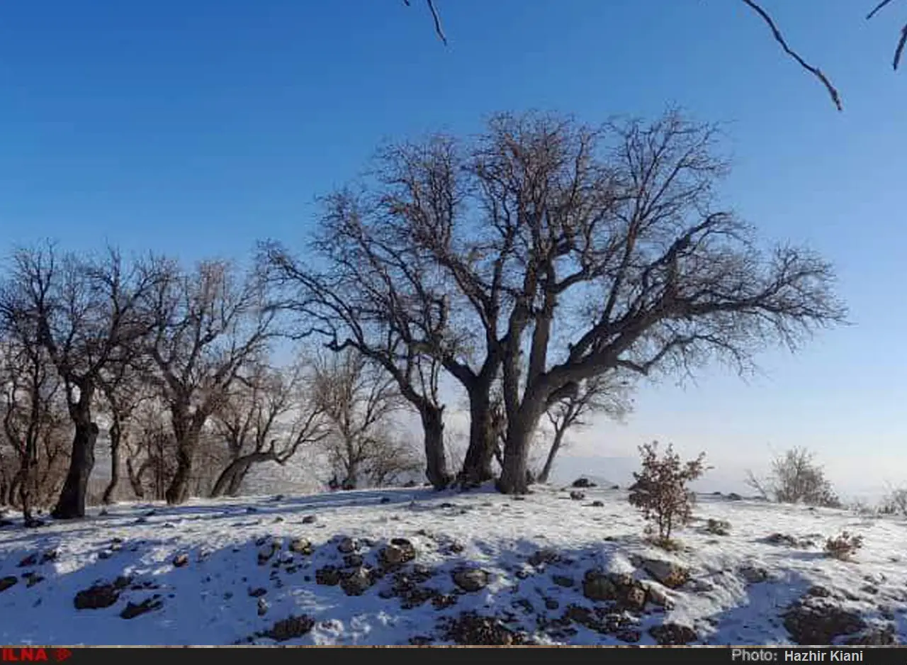 گزارش تصویری از بارش برف در شمال خوزستان 