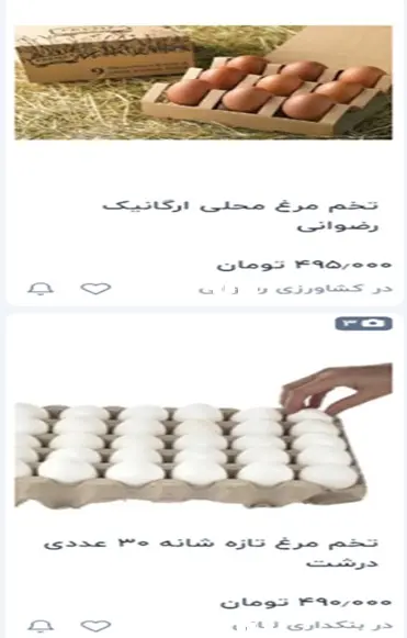 مرغ هم از سفره کارگران پر کشید!/ پول یک وعده چلومرغ، بیشتر از مزد روزانه کارگران